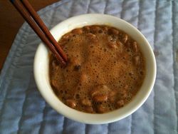 IMG_0513_2